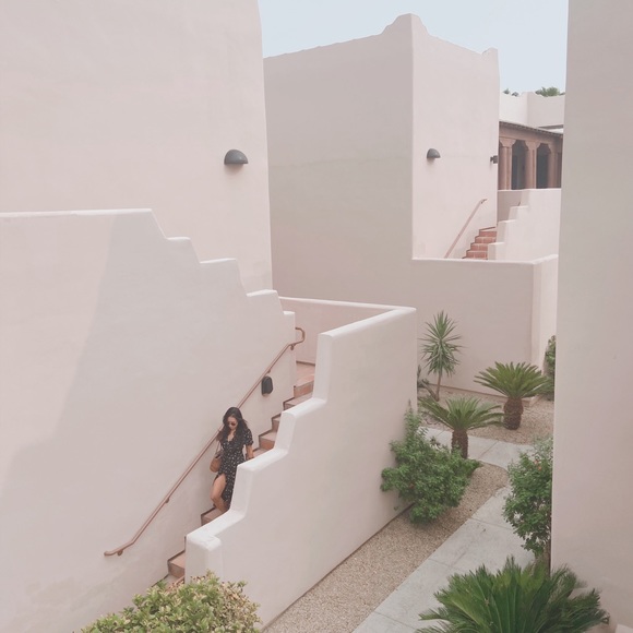 Meet your Posher, Jessie - Picture 2 of 4